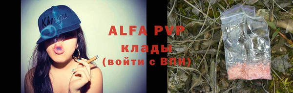 a pvp Белокуриха