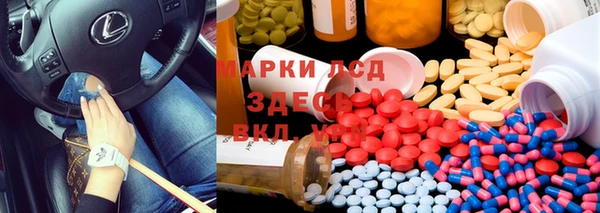 ГАЛЛЮЦИНОГЕННЫЕ ГРИБЫ Белоозёрский