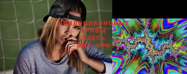 ГАЛЛЮЦИНОГЕННЫЕ ГРИБЫ Белоозёрский