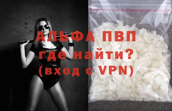a pvp Белокуриха