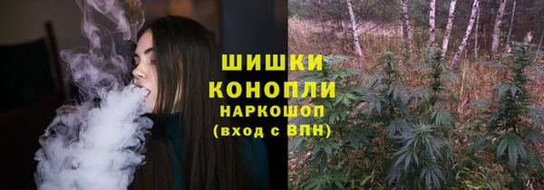 a pvp Белокуриха